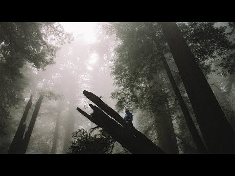 download lagu mp3 mp4 Hold Your Head Up High Darlingside, download lagu Hold Your Head Up High Darlingside gratis, unduh video klip Hold Your Head Up High Darlingside