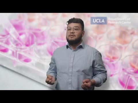 Starving cancer cells to prevent the growth of skin cancer squamous cell carcinoma | Carlos Galván