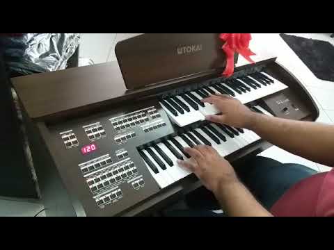 Orgão Eletrônico Tokai D2 Classic - Loja Teclasom