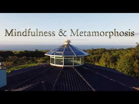 Dharma Talk Forgiveness