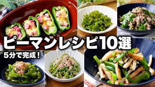 【5分で完成】ピーマンレシピ10選｜あと一品・お弁当・作り置きにも使える簡単おかず
