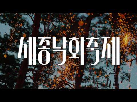 2026 세종낙화축제 #K불꽃놀이