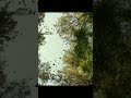 Virupaksha Trailer Telugu Sai Dharam Tej Samyuktha Karthik Dandu Sukumar