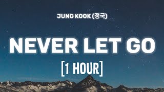 Download lagu Jung Kook (정국) - Never Let Go [1 HOUR/Lyrics] mp3