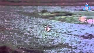 aayiram malargal paniyil nanainthu - deepan chakravarthy&S.P.shilaja