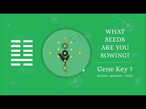 Archetype 7: The Alpha (Gene Key 7)