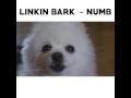 Linkin Bark