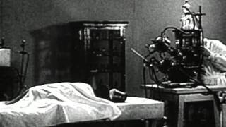 Experiments in the Revival of Organisms