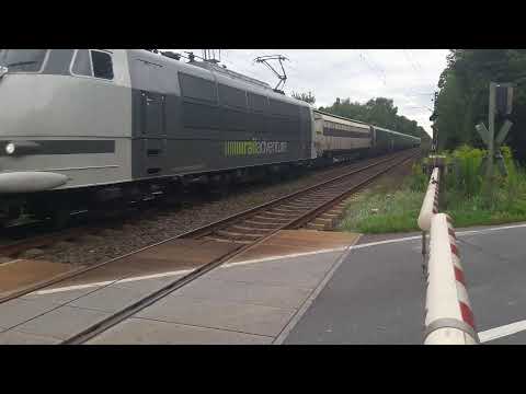 Rail Adventure 103 mit Überführung in Mörfelden