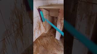ASMR CLEANING Routine #cleaning  #asmr #limpezasatisfatoria #cleantok #cleanwhitme