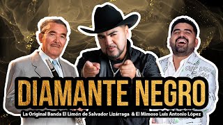 Diamante Negro La Original Banda El Limón &amp; El Mimoso Luis Antonio López (Homenaje A Salvador Lga.)