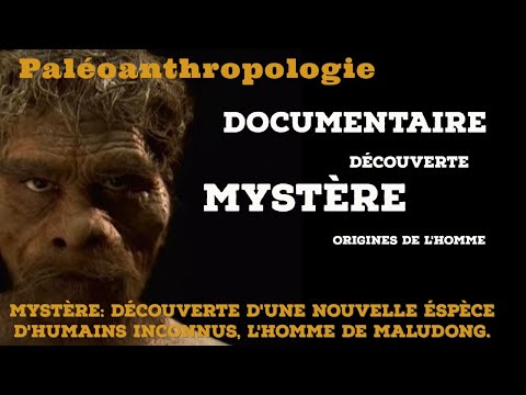 Mystery: Maludong Man, a new species that has encountered ours?