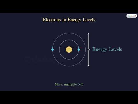Meet the Subatomic Particles