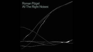 Roman Flügel - Dead Idols