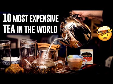 10 Most Expensive Tea in the World that will Shock You