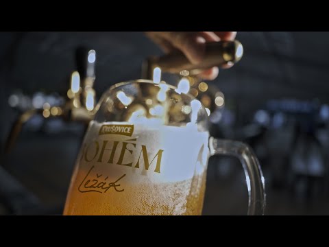 Náhled pro video reference
