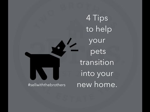 4 Tips to help your pets transition into your new home.