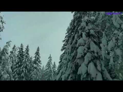 Prilipa Liko - Odgovor na pitanje "zašto je Lika najljepša?" 002.