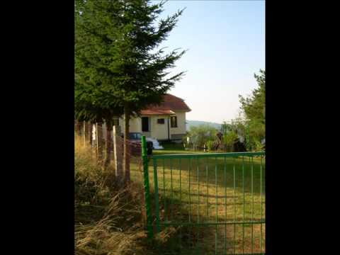 Srba Ivanovic - Ja ne zelim tvoje suze