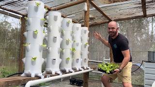 Multi-Tower Modular Hydroponic System