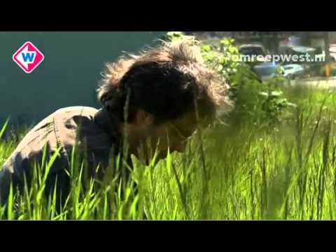 Haags wijntje in Laakkwartier?