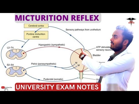 Micturition Reflex || Pathway of Micturition Reflex | Higher centers | Applied physiology.