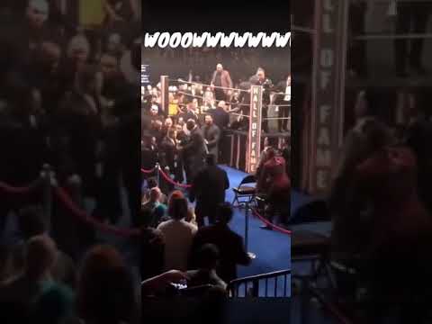 Dash Wilder KOs the Bret the hit man hart attacker