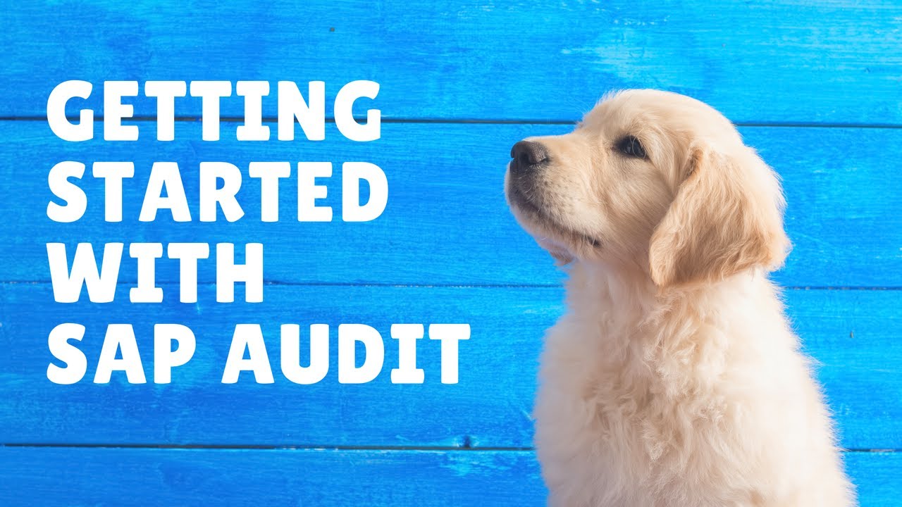 SAP GRC 12 MITIGATION CONTROL