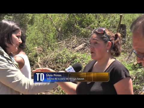 Vecino de la zona de Arroyo Sauzal