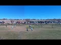 Nov 2022 Pueblo Collage Showcase Tournament