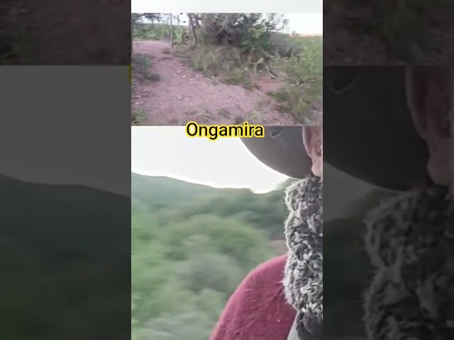 Vídeo relacionado con islandburner Póster de primera calidad, paisaje de montaña épico en la luz de la noche, mural para salón para amantes de la naturaleza, estándar
