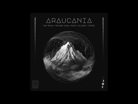 Indefinite Pitch PREMIERES. Sam Wilson - Eyes Closed (Pattrn Remix) [The Code]