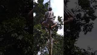 Download lagu vidio lucu orang naik pohon kecil sampe patah mp3 Download lagu vidio lucu orang naik pohon kecil sampe patah mp3