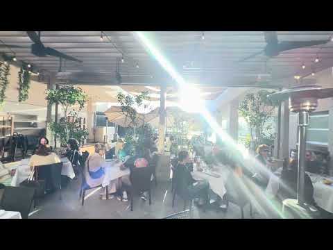 Matthew Armstrong video.