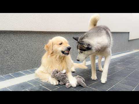 YouTube 썸네일