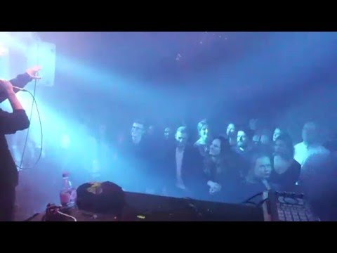 Sammalhabe - Loomeinimene live