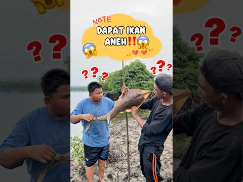 yang tau ikan apa komen🙂‍↕️ #anakkampung21tv #mancing #hiu #ikan #fyf #comedy #pertualangan #kocak
