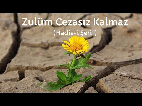 Zulüm Cezasız Kalmaz, Zulmün Sonu,  Hadisi Şerif