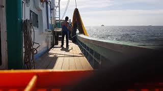 preview picture of video 'Proses Pengangkatan Dan Perebusan Ikan Teri Kapal Anggangmang (안강망) Fishing G to G Korea Selatan'