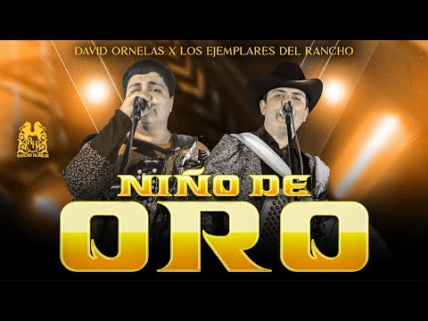 David Ornelas x Los Ejemplares del Rancho - Niño De Oro [En Vivo]