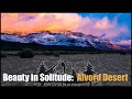 Beauty in Solitude: Alvord Desert, Oregon
