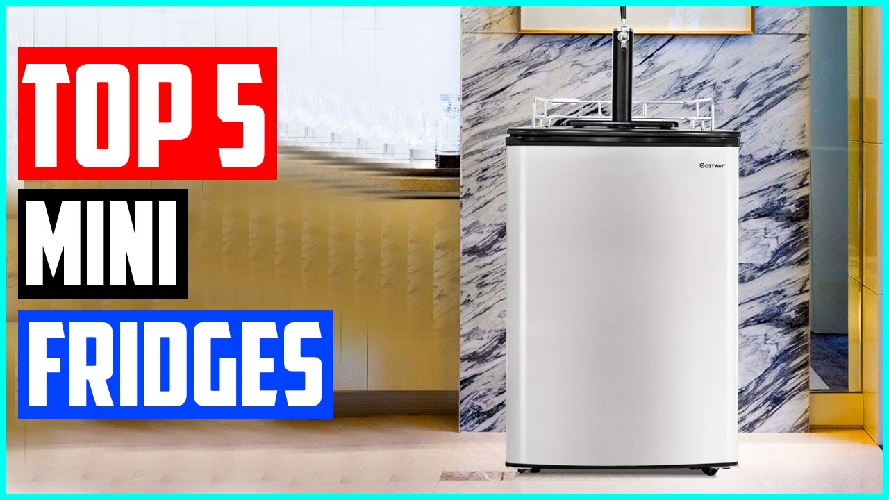 What size mini fridge can hold a keg? Tipseri