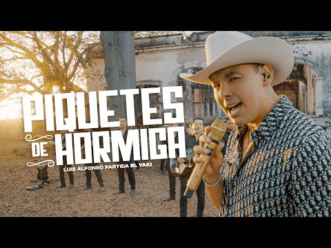 Miniatura de Piquetes de hormiga