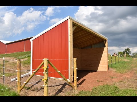 DIY Building Lean Barn Shelter for Horses or Cattle