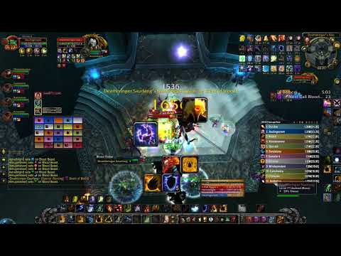 Spell Hance Shaman Wotlk Warmane on Deathbringer Saurfang 25 HC