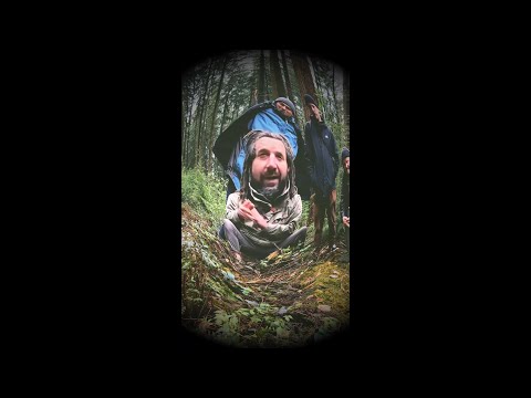 Mosayk, Tobzen, Marek Klippendichter & Pseudo Slang - Resonanz