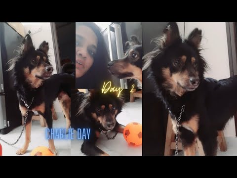 Day 2 in Life _ 364 Days #love #life #story