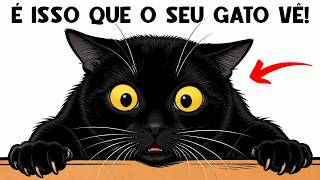 Seu gato NÃO te vê como HUMANO (Você é ASSIM para ele!) 🐈
