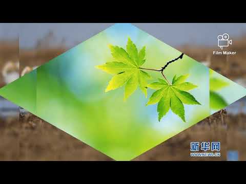 Дэлхий хамтлаг - Хавар