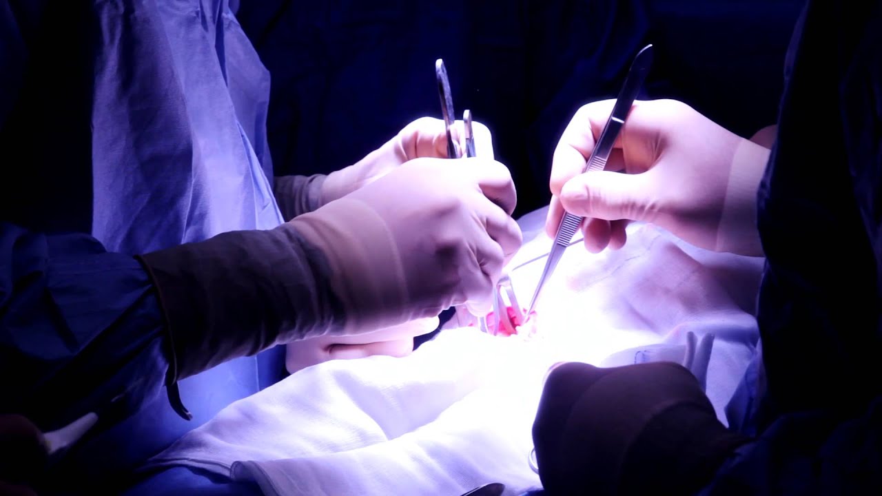 Chirurgia_Casa di Cura San Camillo di Forte dei Marmi